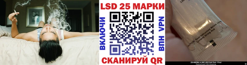 kraken ССЫЛКА  Фатеж  Наркотические марки 1,5мг 