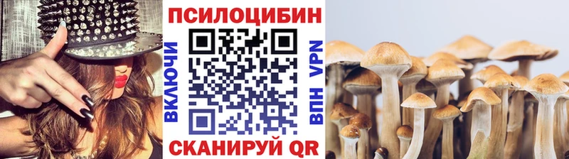 Галлюциногенные грибы GOLDEN TEACHER  mega маркетплейс  Фатеж 